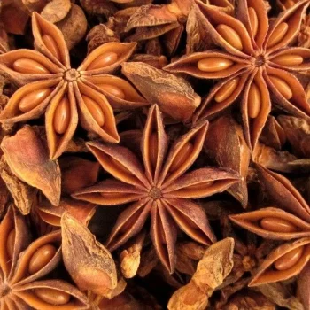 يـانـسون نجمي second