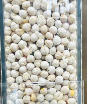 قضامة بيضة second