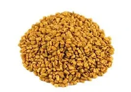 حلبة حب
