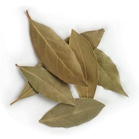 ورق غـــار