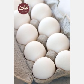 نصف كرتونة بيض