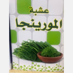 عشبة المورينجا