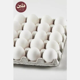 كرتونة بيــض