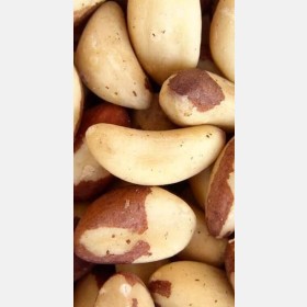 لوز برازيــــلي