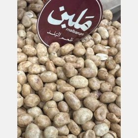 كـــابوكي برازيــلي