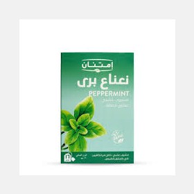شاي النعناع البري