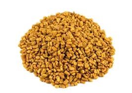 حلبة حب