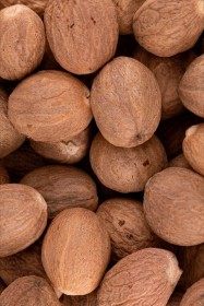 جوزة الطيب حب