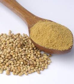 كزبرة مطحونة