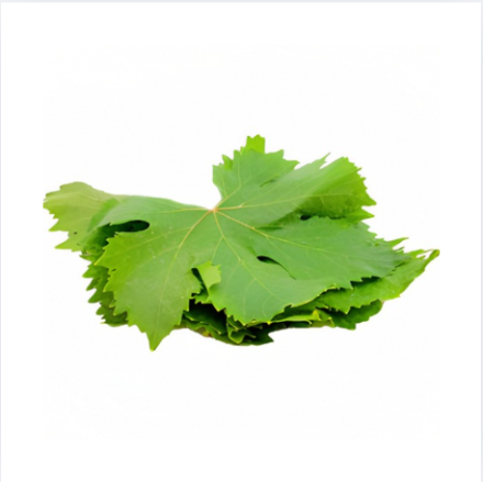 ورق عنب