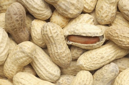 فستق سوداني